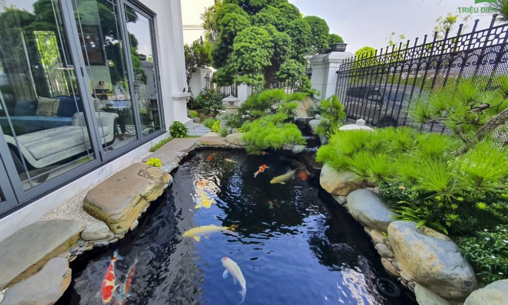 Thuê dịch vụ thiết kế và thi công hồ cá koi trọn gói