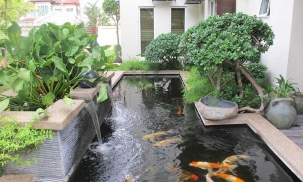 Những yếu tố cần lưu ý khi thiết kế hồ cá koi