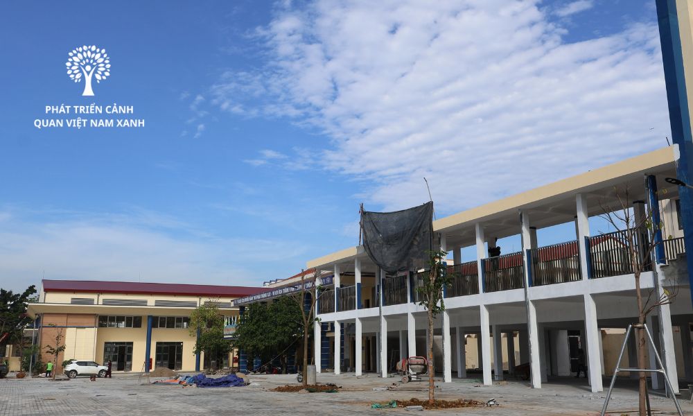 Thiết kế và thi công cảnh quan cây xanh chuyên nghiệp